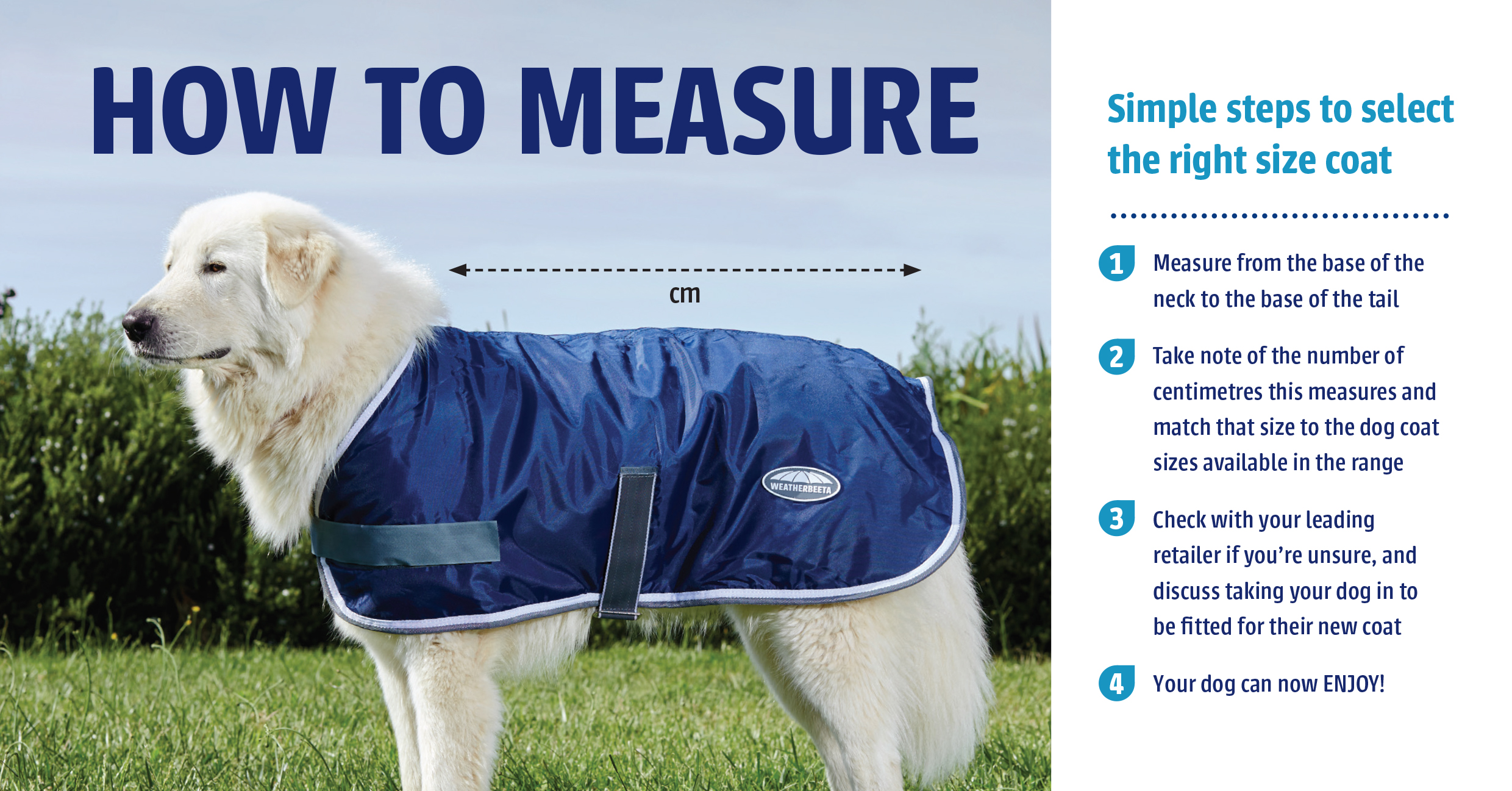 How Should A Dog Coat Fit